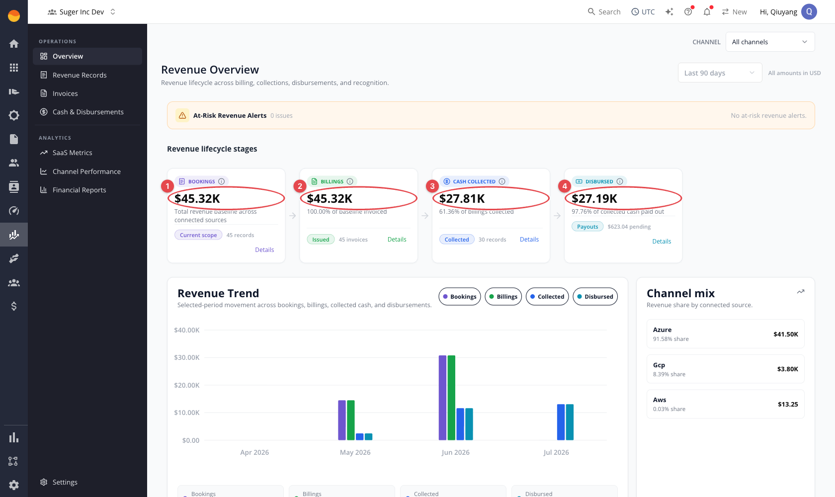 Revenue Overview dashboard: lifecycle stage cards, at-risk alerts, revenue trend, and channel mix