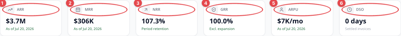 SaaS metric cards with ARR, MRR, NRR, GRR, ARPU, and DSO each circled